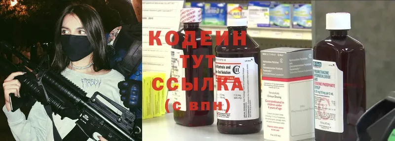 купить наркоту  hydra онион  Кодеиновый сироп Lean Purple Drank  Козловка 